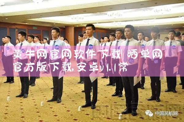 黄牛网官网软件下载