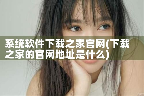 系统软件下载之家官网