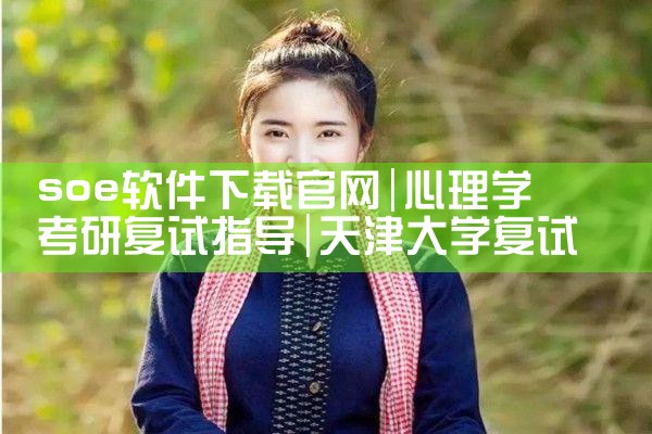 soe软件下载官网