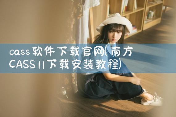 cass软件下载官网