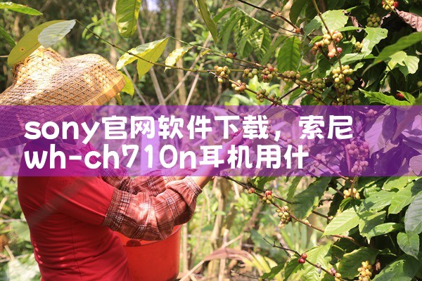 sony官网软件下载