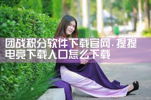 团战积分软件下载官网
