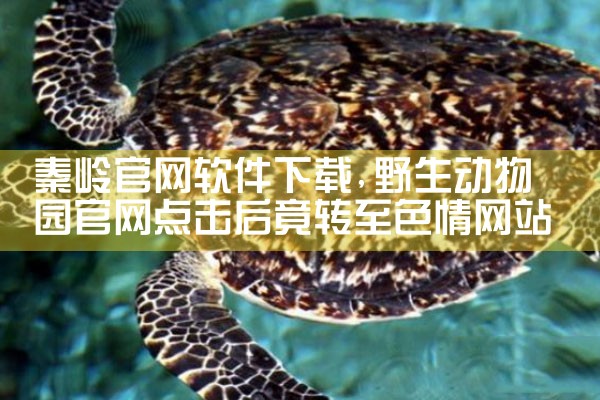 秦岭官网软件下载