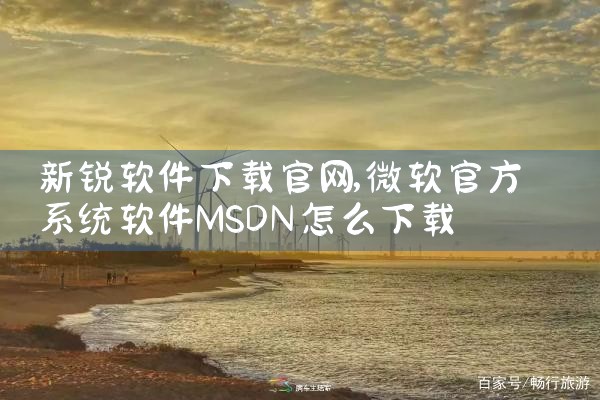 新锐软件下载官网