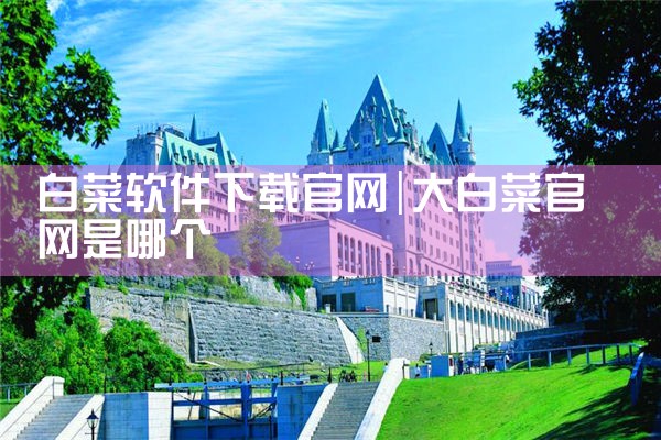 白菜软件下载官网
