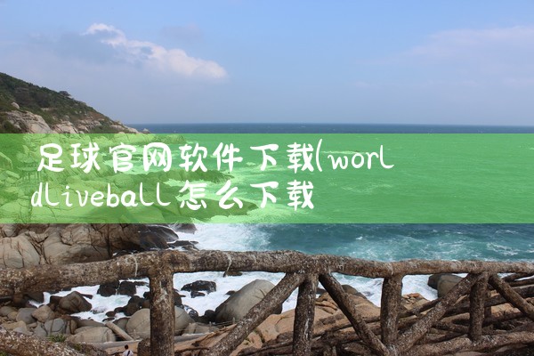 足球官网软件下载