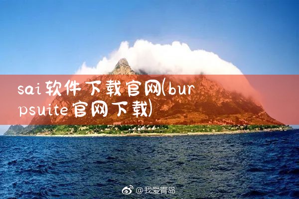 sai软件下载官网
